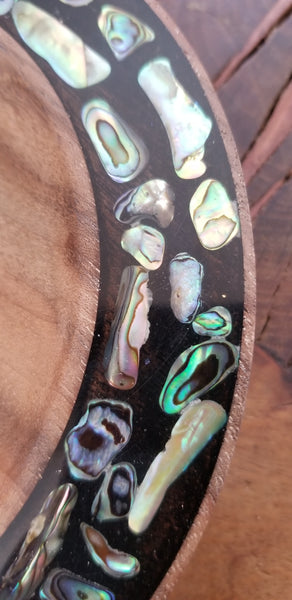 Paua Abalone - Medium